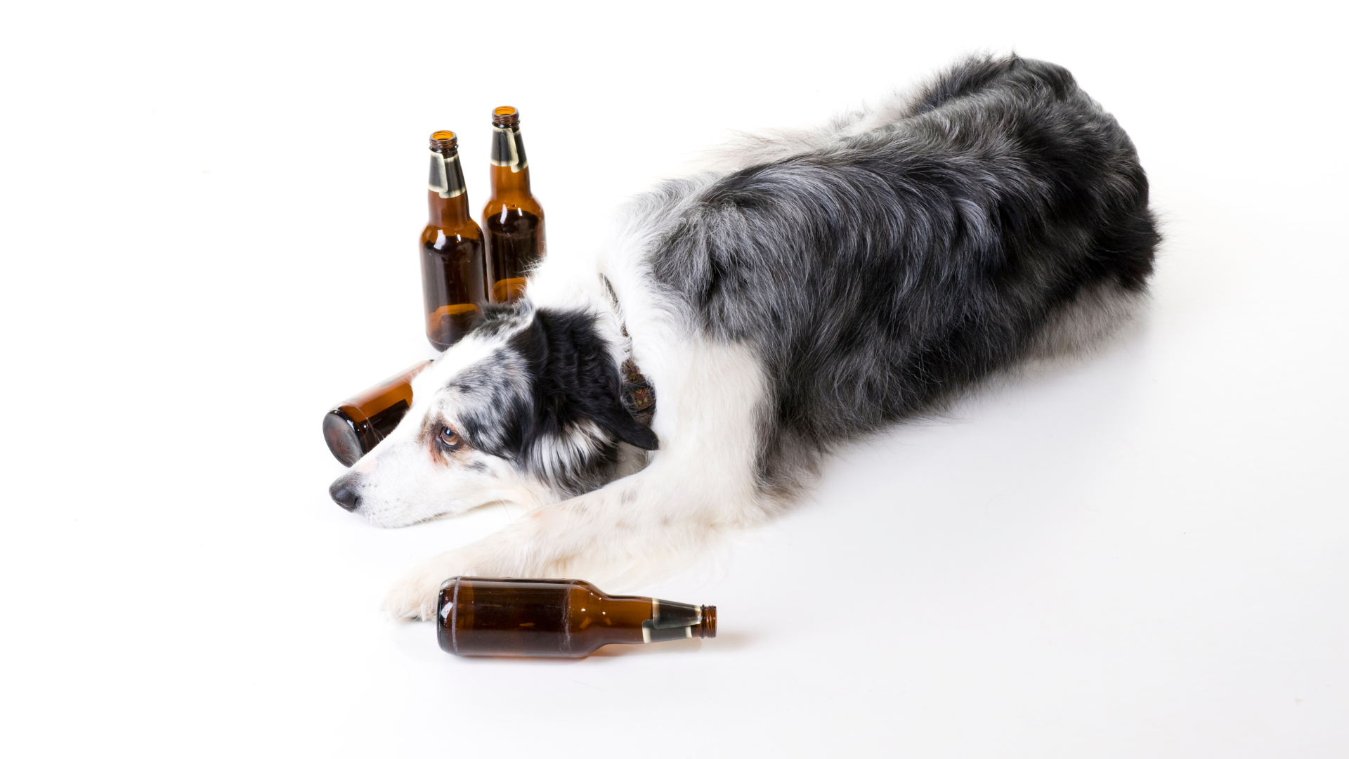 fact or assumption-based